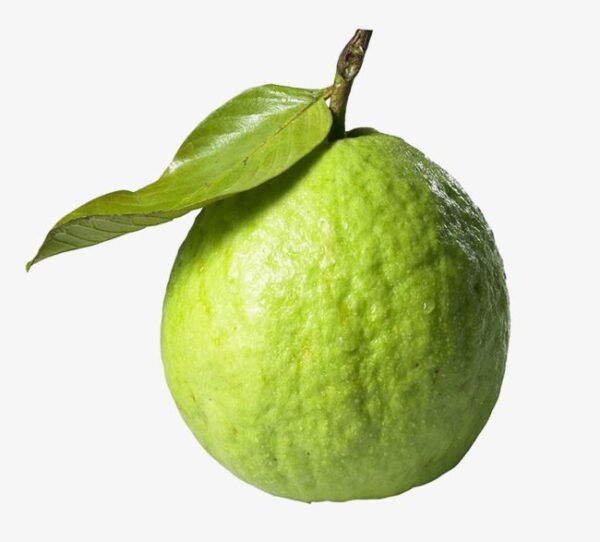 Guava