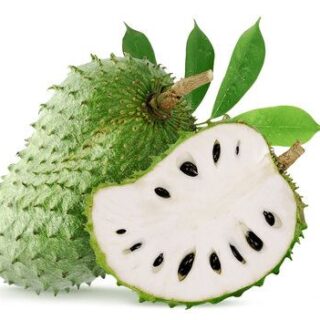 Soursop