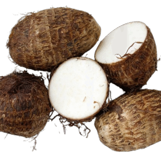Taro