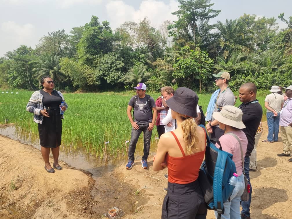 CSIR-Crops Research Institute Hosts Delegation from Colorado State University